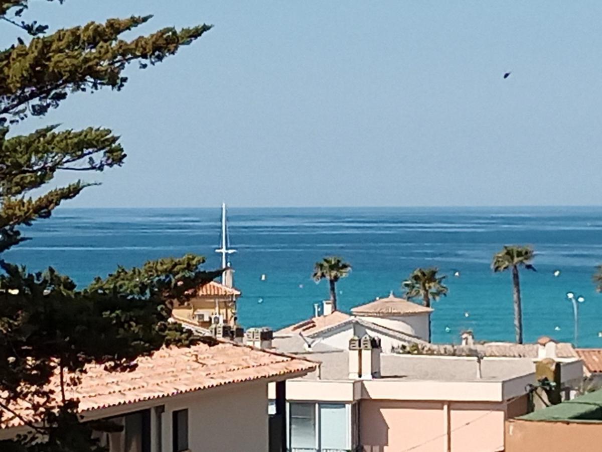 T2 Terrasse Vue Mer Six-Fours-les-Plages Eksteriør billede
